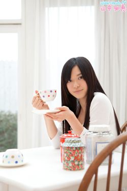 李丽珍电影